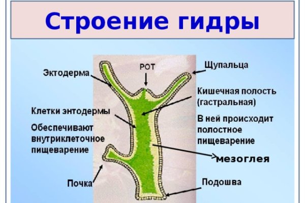 Кракен даркет